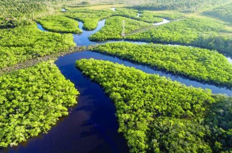 Globalno zagrijavanje primarni uzrok suše u Amazoniji prošle godine