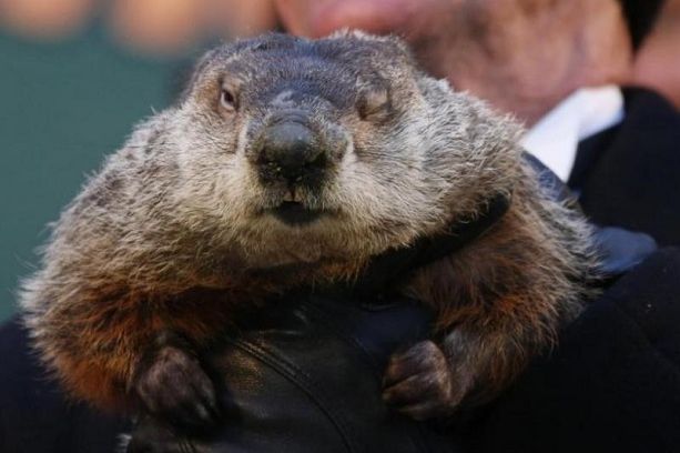 NAJPOPULARNIJI METEOROLOG SVIZAC PHIL OTKRIO KAD ĆE PROLJEĆE: Evo šta je predvidio