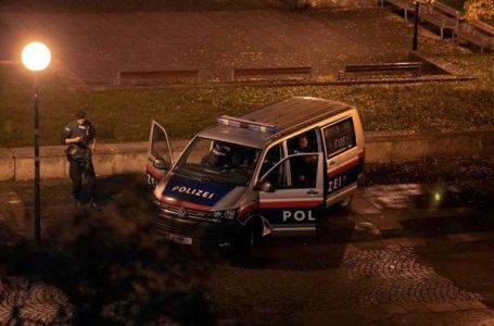 Bosanac napravio haos u Beču: Povrijedio pet policajaca
