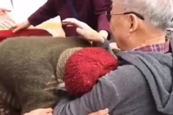 Ispratila MUŽA U RAT, vidjela ga poslije POLA VIJEKA, a ono što joj je uradilo SLOMILO JOJ JE SRCE