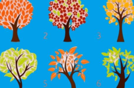 TEST - IZABERITE JEDNO DRVO SA SLIKE: Otkriva tajnu vašeg života