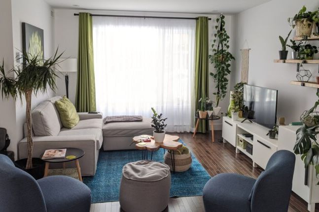 Kako ukloniti ustajali miris iz kuće: Jedan sastojak neutrališe sve, biće čisto kao u apoteci