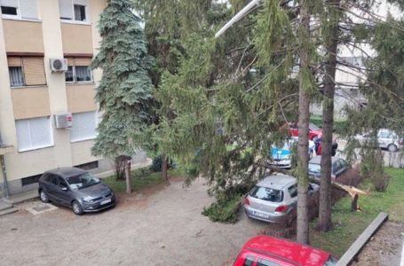 PUŠE JAK OLUJNI VJETAR! UPALJEN METEOALARM U BiH: Palo drvo na automobil