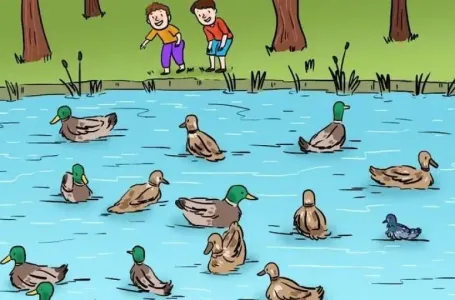 Ako uočite grešku na ovoj slici za manje od šest sekundi vaš IQ je iznad prosjeka