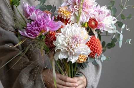 Evo otkad i zašto se slavi 8.mart, Dan žena