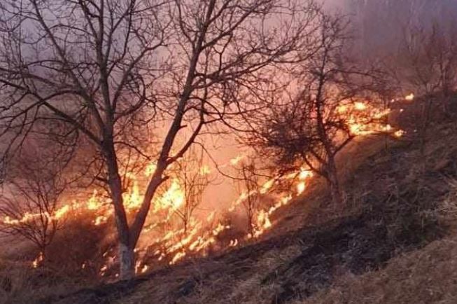 U požaru kod Gračanice smrtno stradao muškarac