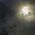 Mjesec je ušao u Djevicu! 3 horoskopska znaka očekuju sretne vijesti