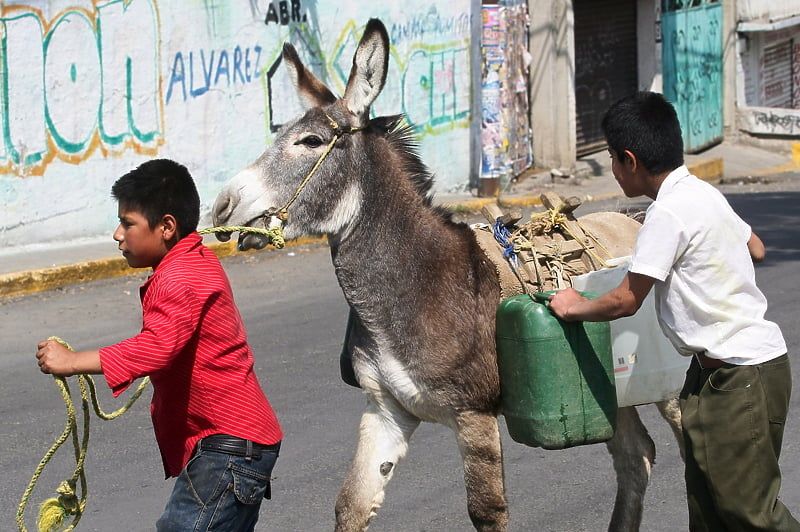 Ugroženo 22 miliona ljudi: Mexico Cityju prijeti mogućnost da za nekoliko mjeseci ostane bez vode