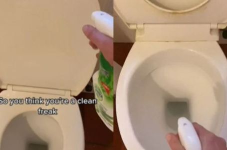 Ovu grešku mnogi prave kada čiste WC školjku:  POGREŠNO KORISTITE OVAJ PROIZVOD