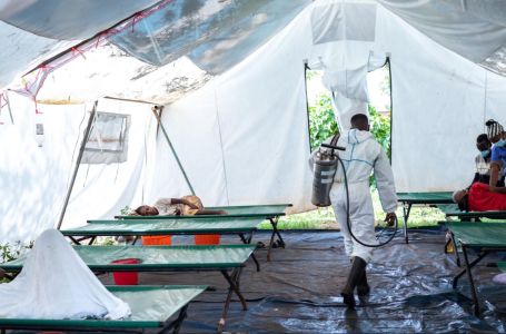 EPIDEMIJA PAPAGAJSKE GROZNICE ŠIRI SE PO EVROPI: Pogođeno je nekoliko zemalja, EVO KAKO SE PRENOSI