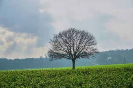 Meteorolozi objavili prognozu: Evo šta nas narednih dana očekuje