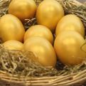 Da li se jaja FARBAJU NA VELIKI ČETVRTAK ILI PETAK? Stručnjak daje odgovor