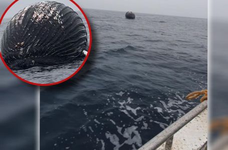 NORVEŠKI RIBARI NALETJELI NA HOROR UNUTAR ARKTIČKOG KRUGA: Čim su vidjeli šta pluta POBJEGLI SU