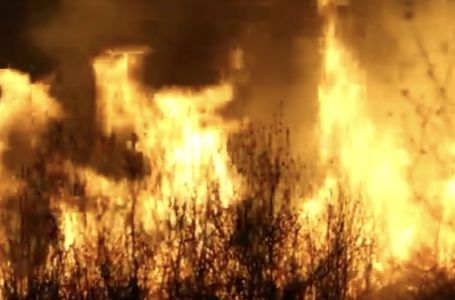 Požar u tuzlanskom naselju Požarnica: Vatrogasci cijeli dan gase vatru