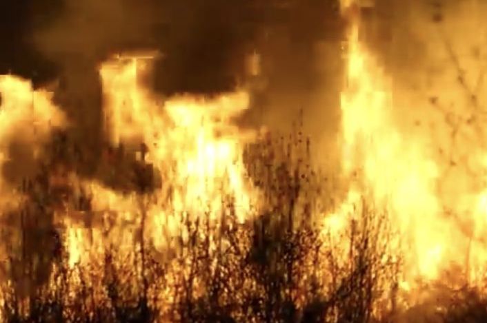 Požar u tuzlanskom naselju Požarnica: Vatrogasci cijeli dan gase vatru