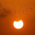 Život će im se pretvoriti u opšte LUDILO:Pomračenje Sunca u aprilu će DONIJETI PAKAO za 5 znakova
