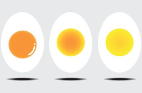 Po boji žumanceta, da li znate koje je jaje sa slike najzdravije?