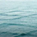 Ukoliko vidite valove kvadratnog oblika brzo izađite iz vode: EVO ZBOG ČEGA