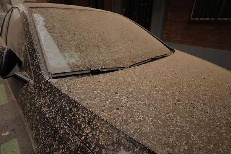 Evo kako ispravno da očistite pijesak iz Afrike sa automobila