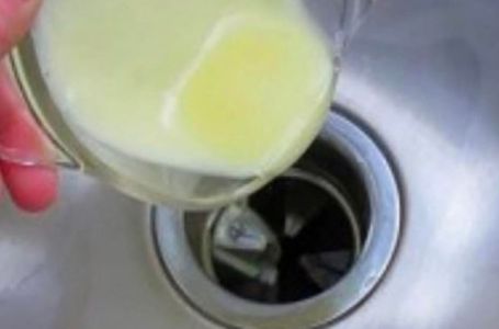 ODVOD VAM UŽASNO SMRDI? Samo izlijte ovu smjesu, ZA NEKOLIKO MINUTA PROBLEM JE RIJEŠEN!