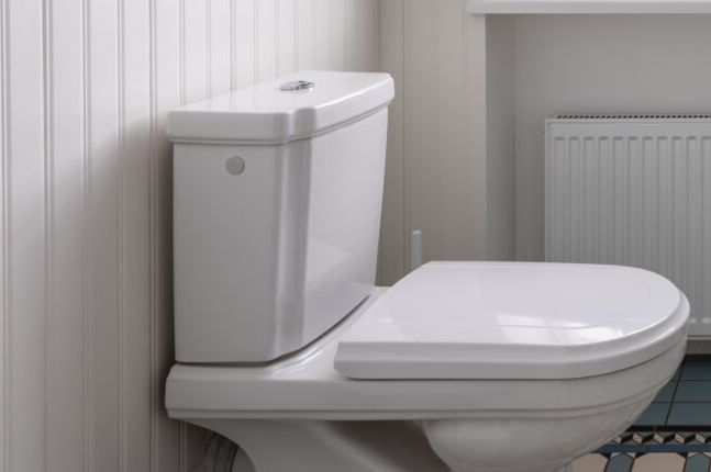 Kada ste posljednji put očistili vodokotlić? Ubacite 2 sastojka i riješite se kamenca i prljavštine