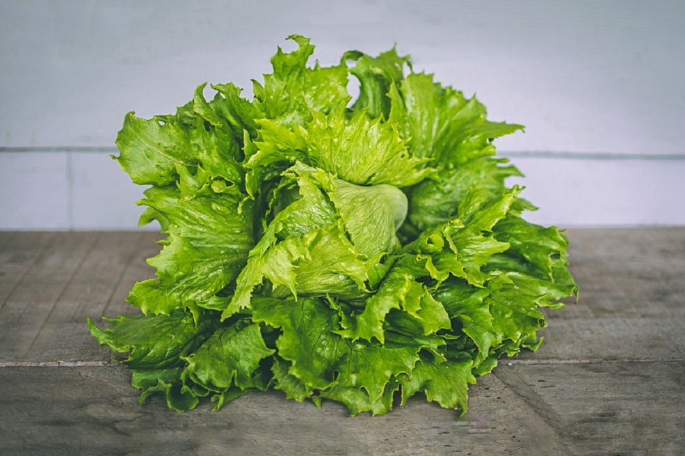 NJENA SVJEŽINA ĆE TRAJATI DUŽE: Uz ovaj trik zelena salata neće brzo da uvene