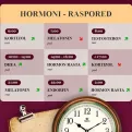 Hormonski raspored tijela – EVO kako savršeno iskoristiti 24 sata!
