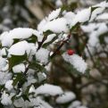 NARODNO VJEROVANJE: Pao je snijeg u aprilu - EVO KAKAV OSTATAK GODINE NAS ČEKA