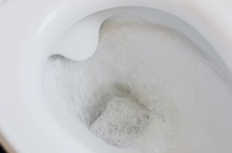 Ova čudotvorna namirnica košta malo, a riba WC šolju, uklanja uporni kamenac i čisti odvode