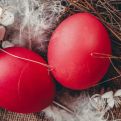 Imaćete najlepša crvena jaja ovog Uskrsa: Potrebne su vam samo 3 namirnice iz kuhinje