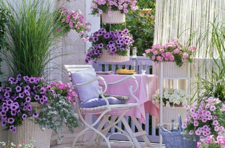 Evo kako odabrati idealne biljke za balkon: Jedne vole sunce, a druge hlad