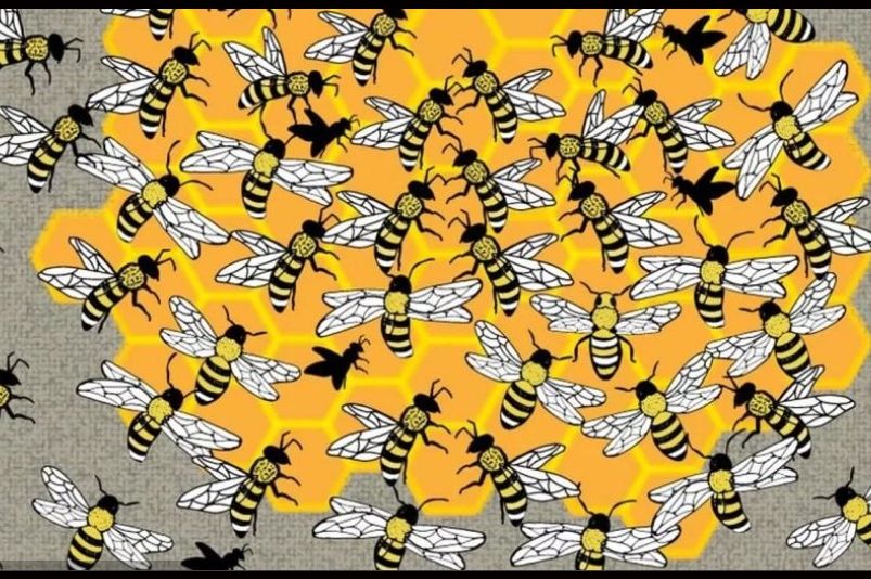 Mozgalica koja vas ponovo testira: Možete li pronaći pčelu maticu za pet sekundi?