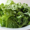 Šta se događa organizmu ako često jedete zelenu salatu: Poslije ovog ćete dobro razmisliti
