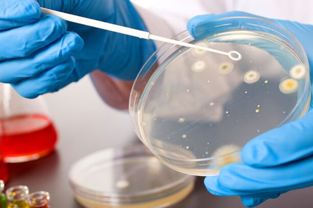 EU odobrila novi antibiotik za borbu protiv superbakterija