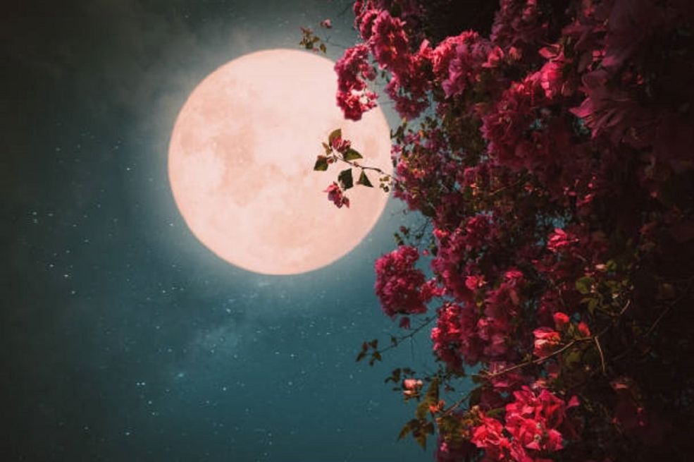 3 znaka zodijaka na koje utiče "rozi mjesec"