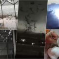GRAD UBIO ŽIVOTINJE, HOROR U METROPOLI: Tornado probija krov, ljudi paniče i vrište (VIDEO)
