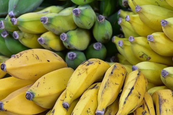 Koje banane su zdravije – zelene, žute ili smeđe?