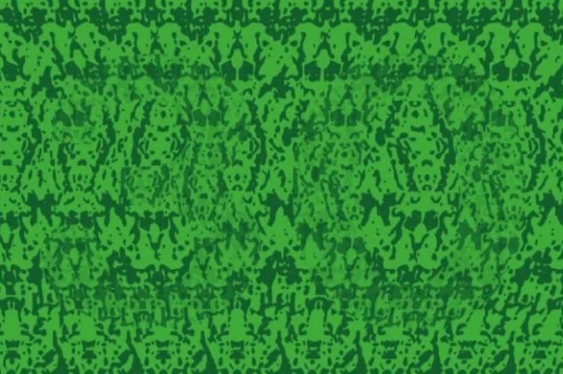 Samo genijalci na slici mogu vidjeti broj: JESTE LI VI MEĐU NJIMA?