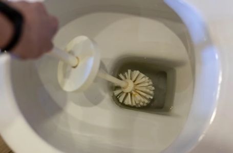 Sipajte OVAJ SASTOJAK u WC ŠOLJU, ostavite da odstoji preko noći i UJUTRU ĆE DOSLOVNO BLISTATI