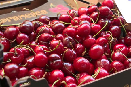 STIGLE TREŠNJE: Evo koliko iznosi kilogram omiljenog voća mnogih Bosanaca i Hercegovaca