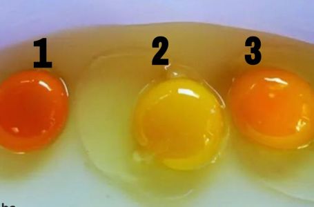 PO BOJI ŽUMANCETA: Da li znate koje je jaje sa slike najzdravije?