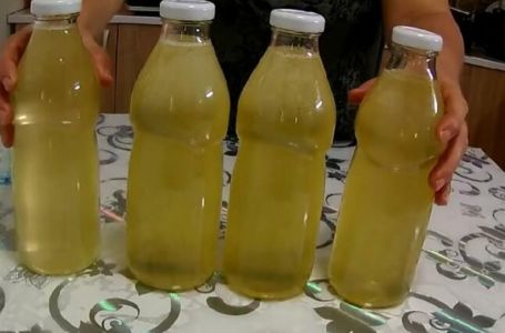 Domaći sok od zove bez konzervansa: Kako da ga čuvate da vam traje mjesecima