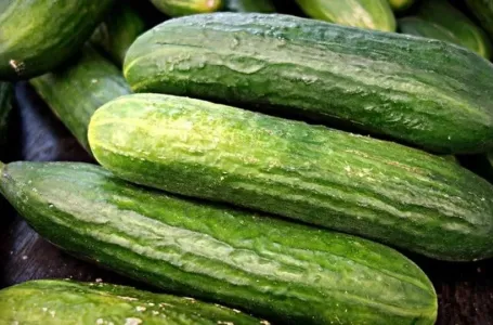 EVO KAKO DA IZBJEGNETE GORČINU PRI UZGOJU KRASTAVACA: Obratite pažnju na ovo