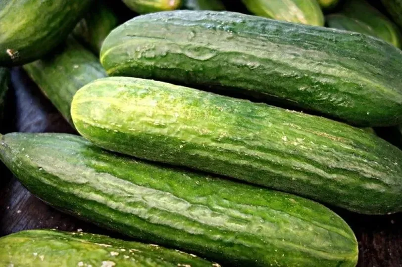 EVO KAKO DA IZBJEGNETE GORČINU PRI UZGOJU KRASTAVACA: Obratite pažnju na ovo