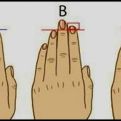 Pogledajte dobro svoje prste na rukama: Njihova dužina može da otkrije koje bolesti vam prijete