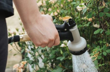 Treba li vrt zalivati ujutru ili uveče? „Oko toga nema nikakve rasprave” - EVO ŠTA JE PRAVILNO