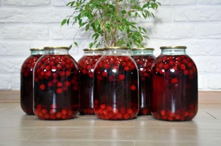 RECEPT ZA DOMAĆI KOMPOT OD TREŠANJA: Trebaju vam 3 sastojka