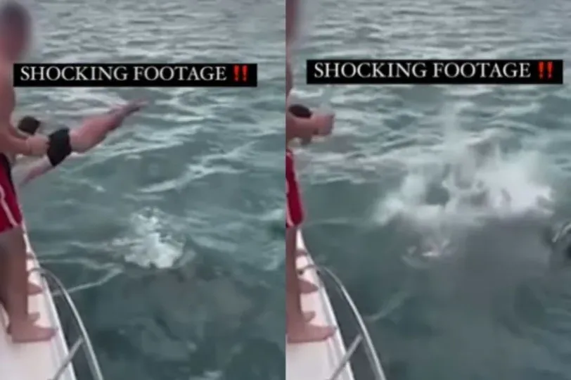 ŠOKANTAN SNIMAK: Čovjek skočio sa broda među kitove ubice - pogledajte kako je prošao