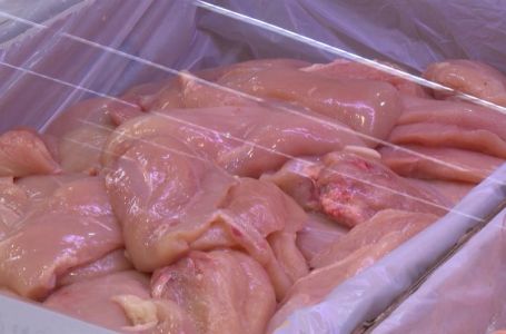 U pilećim filetima iz BiH utvrđena salmonela