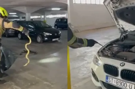 Iz automobila u Splitu izvučena velika zmija, vlasnik poručio da mu se ne sjeda za volan